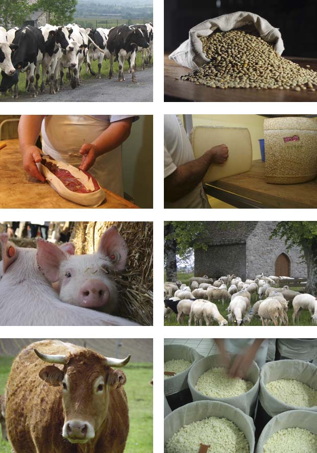 Les fournisseurs sur Agrilocal15.fr
